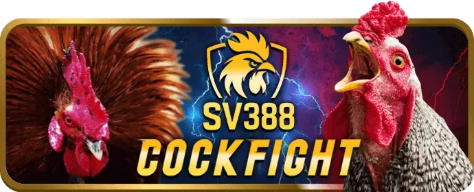 Bảng tỷ lệ kèo đá gà đa dạng tại 5699bet